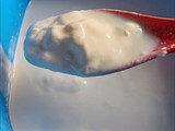 Yogurt griego casero