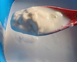 Foto del paso 3 de la receta: Yogurt griego casero