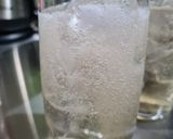 Foto del paso 3 de la receta: Chilcano de pisco