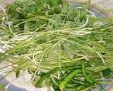A picture of step 1 of Harey lehsan ki chutney.