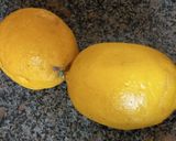 Foto del paso 1 de la receta: Gatuzo al ajo y limón