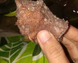 Foto langkah ke 6 dari resep Debm coklat sponge cake.
