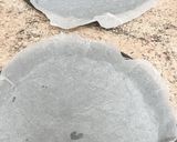 Foto del paso 2 de la receta Tarta de manzana con masa hojaldrada
