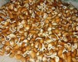 முளைகட்டிய தட்டை பயறு குழம்பு ரெசிபி ஸ்டேப் 1 புகைப்படம்