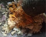 Foto langkah ke 1 dari resep Abon Ayam.