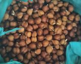 A picture of step 8 of Protein Bhel.