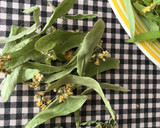 Foto del paso 1 de la receta: Infusión fría de tila y María Luisa, con limón, jengibre y miel
