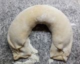 Foto del paso 9 de la receta: Rosca de pascuas rellena