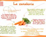 Foto del paso 8 de la receta: Dip de zanahorias