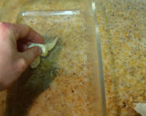 Foto del paso 3 de la receta: Bizcocho de caqui y chocolate