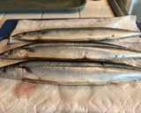 A picture of step 1 of Sanma 🐟 no Shio Yaki with Daikon Oroshi.