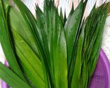 Foto langkah ke 1 dari resep Pasta pandan homemade.