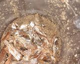 Foto langkah ke 2 dari resep Abon ikan asin.