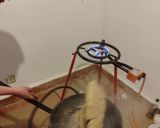 Foto del paso 9 de la receta: Gachamiga