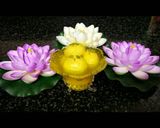 A picture of step 9 of Rajbhog.