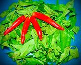 Hình bước làm 1 của món Ốc Len Xào Dừa