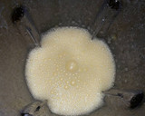 Foto del paso 2 de la receta: Bizcochuelo súper fácil en licuadora!