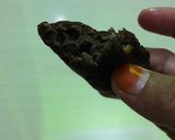 Foto langkah ke 5 dari resep Kaleng JumPiCo(jumput pisang coklat).
