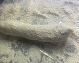Foto del paso 4 de la receta: 29 dia de ñoquis
