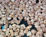 Foto del paso 4 de la receta: Garrapiñadas de maní