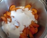 Foto del passaggio 1 della ricetta Chutney di albicocche