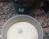Foto del paso 1 de la receta: Pizza in teglia caballito🇮🇹🍕 🇦🇷