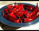 લીલા મરચા ની સૂકવણી (Lila Marcha Sukavani Recipe In Gujarati) રેસીપી સ્ટેપ3ફોટો