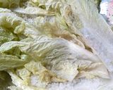 Foto langkah ke 1 dari resep Baechu Kimchi/ Kimchi Sawi Putih.