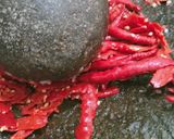 Foto langkah ke 4 dari resep Udang pete balado.