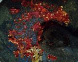 Foto langkah ke 2 dari resep Mie kering pedas (aneka cemilan).