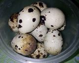 Foto langkah ke 5 dari resep Martabak Telur Puyuh.