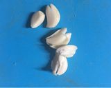 Foto langkah ke 1 dari resep Tumis kailan.