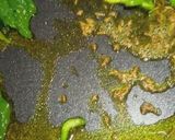 A picture of step 1 of Rajma Fry.