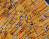 Foto del paso 3 de la receta: Zapallo anco al romero 🧡 ¡Bienvenido el otoño! 🍁