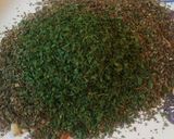 A picture of step 3 of Dried Basil Pesto.