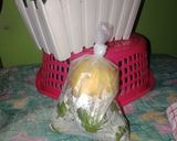 Foto langkah ke 5 dari resep Food Preparation Sederhana(1-2pekan).