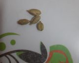 A picture of step 1 of Fennel seeds ka sharbat.