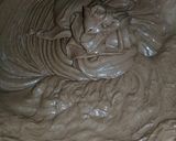 Foto del paso 5 de la receta: Brownie ❤