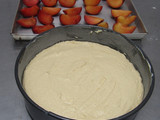 Torta de ciruelas frescas y  yogurt