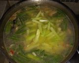 Foto langkah ke 7 dari resep Lontong sayur labu siam / manisa.