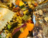 Une image de l'étape 3 de L’endive façon Turbot aux tuiles de Parmesan.