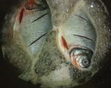 Foto langkah ke 2 dari resep Pesmol Ikan Bawal.