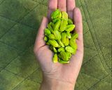 عکس مرحله 2 از دستور خلال پسته