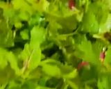 A picture of step 2 of Green chutney.