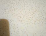 A picture of step 3 of Sabudana Kheer.