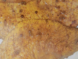 🇹🇷Kebab de pollo 🇹🇷