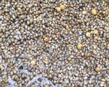 A picture of step 1 of Millet and tamarind pudding.