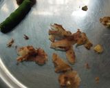 A picture of step 2 of Idli.