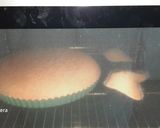Foto del passaggio 4 della ricetta Uva in bellavista su crostata morbida glutenfree