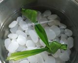 Foto langkah ke 3 dari resep Cara Simpan Kolang-Kaling.